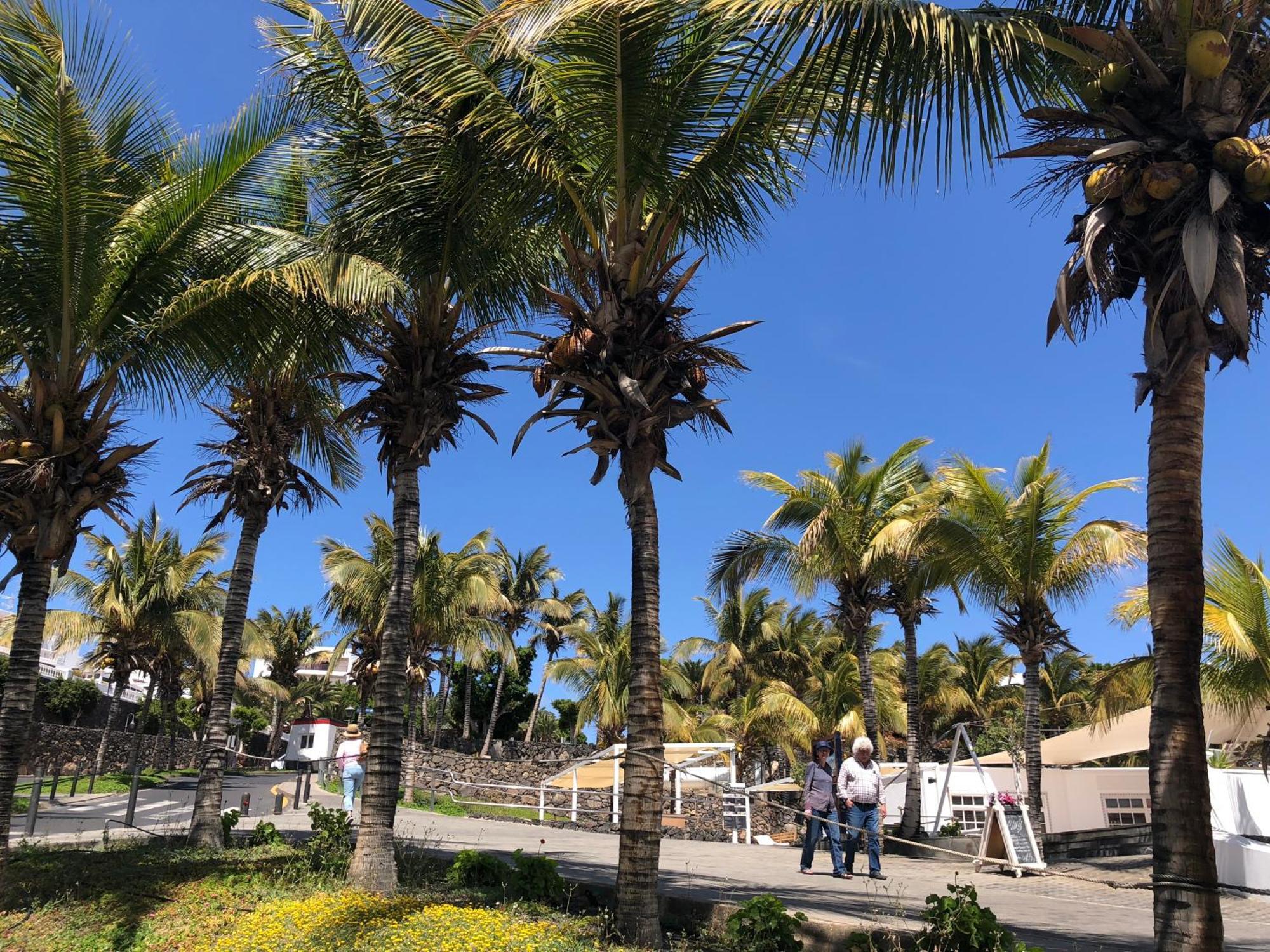 Casa Margarita - Shared Pool - Close To Seafront Promenade Punta Mujeres エクステリア 写真